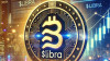 Caso Libra